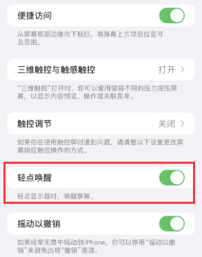 禹城苹果授权维修站分享iPhone轻点无法唤醒怎么办 