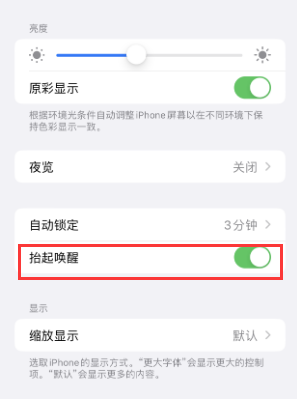 禹城苹果授权维修站分享iPhone轻点无法唤醒怎么办