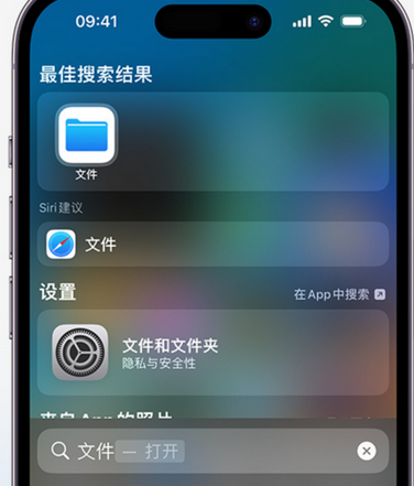 禹城apple维修中心分享iPhone文件应用中存储和找到下载文件 