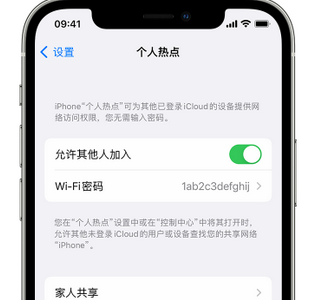 禹城apple服务站点分享iPhone上个人热点丢失了怎么办 