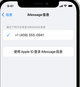 禹城apple维修iPhone上无法正常发送iMessage信息 