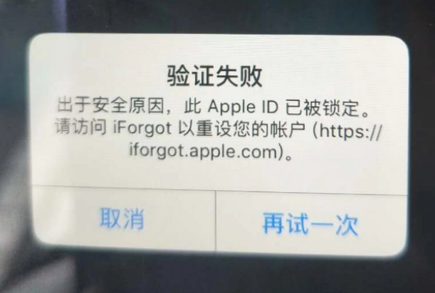 禹城iPhone维修分享iPhone上正常登录或使用AppleID怎么办 