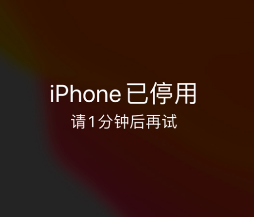 禹城苹果手机维修分享:iPhone 显示“不可用”或“已停用”怎么办？还能保留数据吗？ 