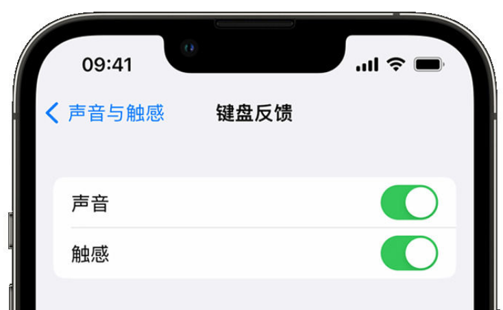 禹城苹果手机维修分享iPhone 14触感键盘使用方法 