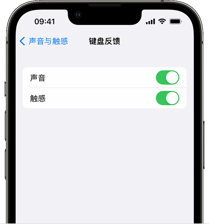 禹城苹果14维修店分享如何在 iPhone 14 机型中使用触感键盘 