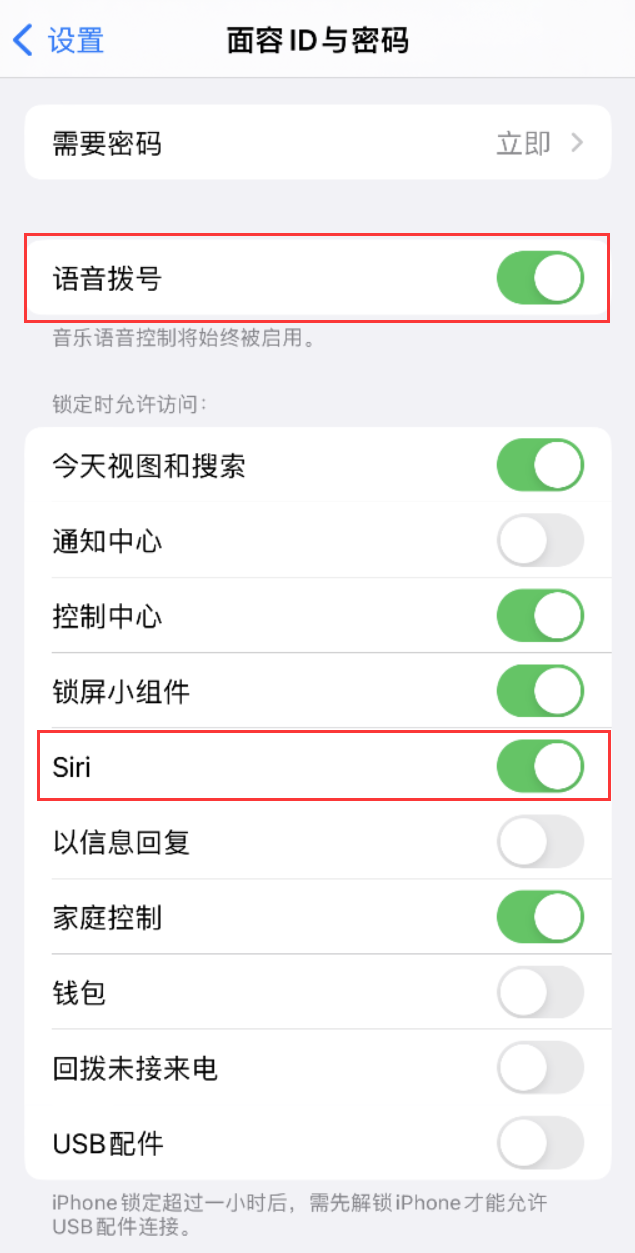 禹城苹果维修网点分享不解锁 iPhone 的情况下通过 Siri 拨打电话的方法 