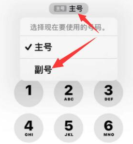 禹城苹果14维修店分享iPhone 14 Pro Max使用副卡打电话的方法 