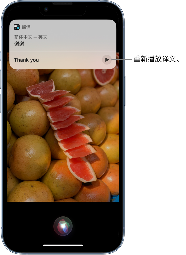 禹城苹果14维修分享 iPhone 14 机型中使用 Siri：了解 Siri 能帮你做什么 