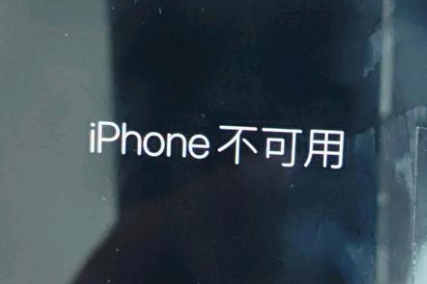 禹城苹果服务网点分享锁屏界面显示“iPhone 不可用”如何解决 