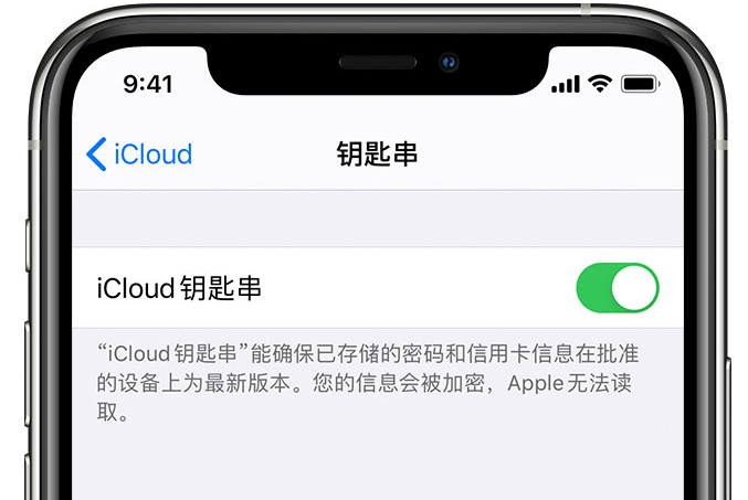 禹城苹果手机维修分享在 iPhone 上开启 iCloud 钥匙串之后会储存哪些信息 