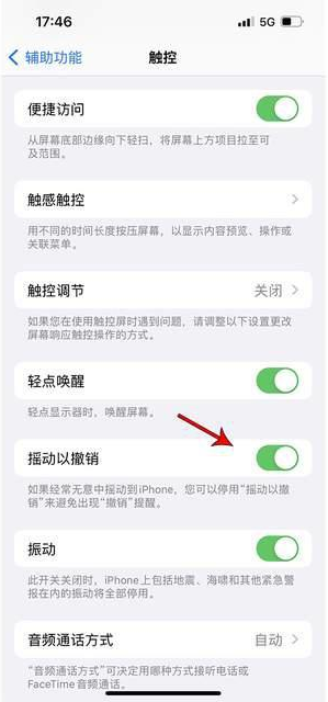 禹城苹果手机维修分享iPhone手机如何设置摇一摇删除文字 