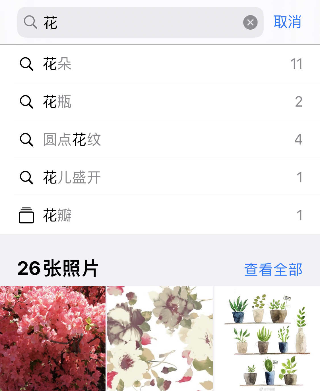 禹城苹果手机维修分享iPhone 小技巧 