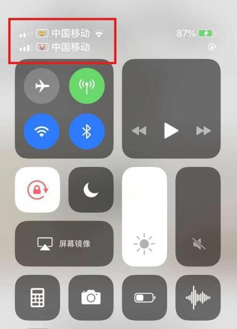 禹城苹果手机维修分享为 iPhone 12 双卡设置标签 