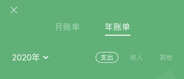 禹城苹果手机维修分享如何在 iPhone 上查看支付宝和微信年支出账单 