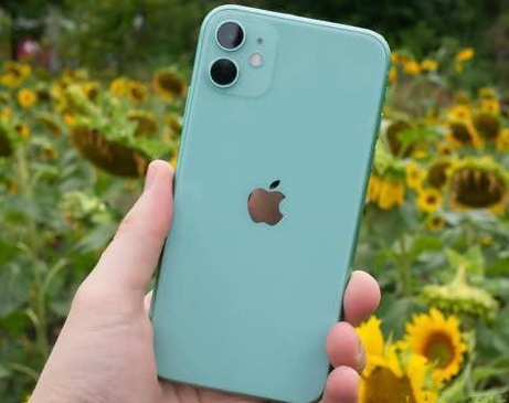 禹城苹果维修点分享iPhone 11锁屏密码认知与使用科普 